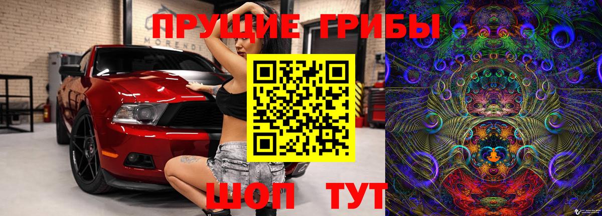 Галлюциногенные грибы прущие грибы Кисловодск