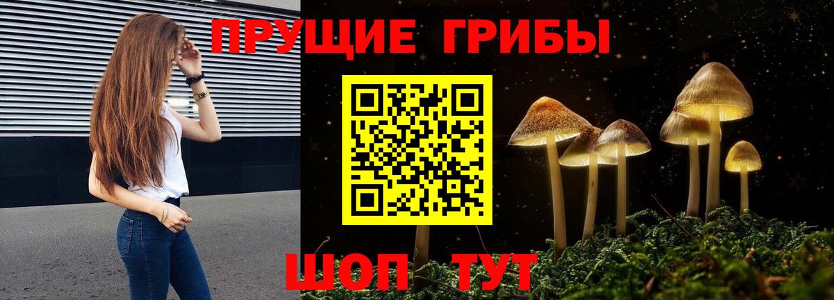 Кисловодск  где продают   Вход с VPN  Галлюциногенные грибы MAGIC MUSHROOMS 