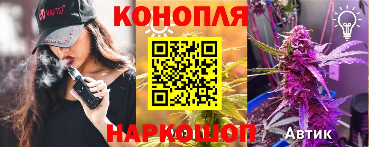 Бошки Шишки VHQ Кисловодск